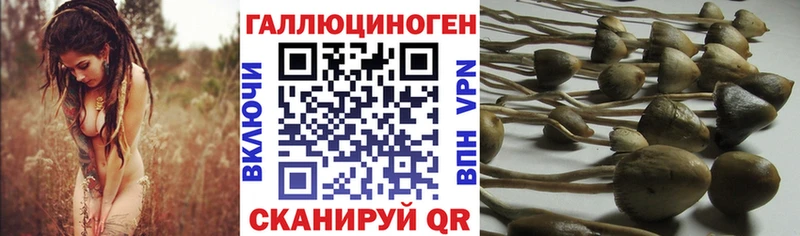 как найти закладки Сорочинск Галлюциногенные грибы ЛСД